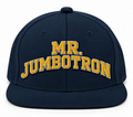 Mr. Jumbotron Snapback